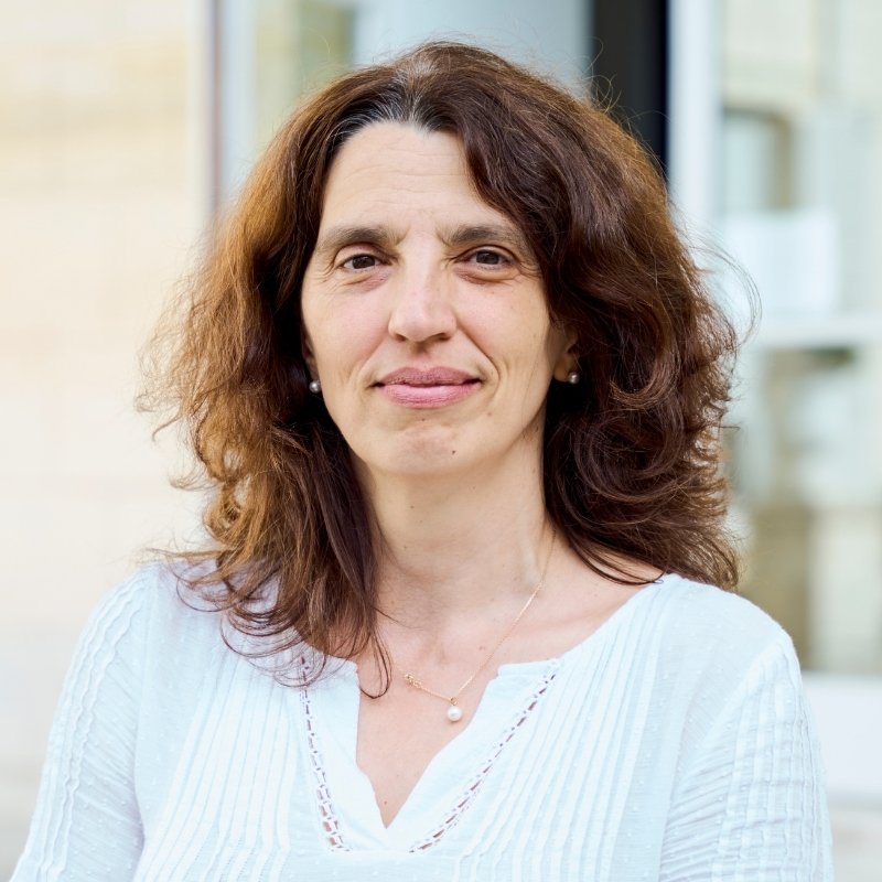 Ioana Manolescu