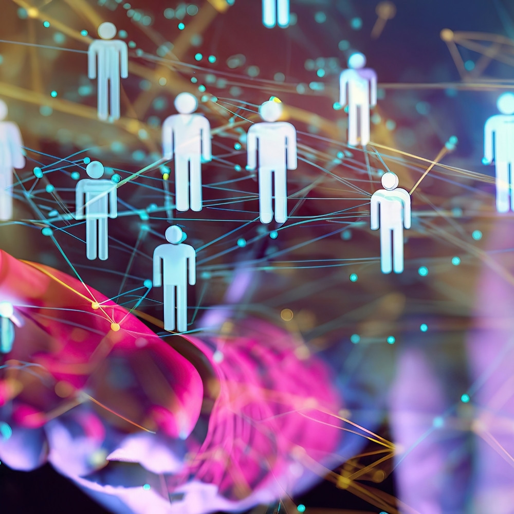 BASC Bachelor’s Program in Data, Society, and Organizations