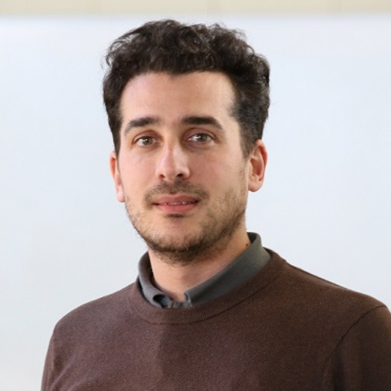 Ioannis Stefanou